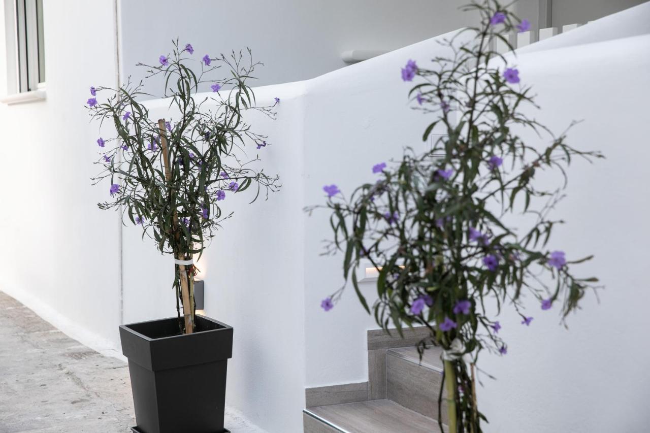 Anemela Studio Lux Naxos City Buitenkant foto